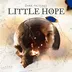 اکانت قانونی The Dark Pictures Anthology: Little Hope برای PS5 & PS4